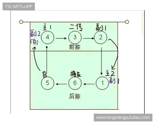 排球新手必读：全面掌握状态调整与技巧提升的入门指南